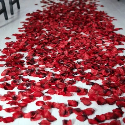 Elements Artificial Rose Petals In Red