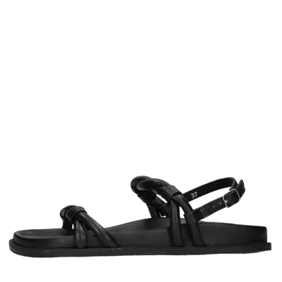 Elena Iachi Flat Shoes In Black