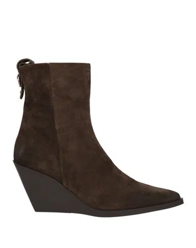 Elena Iachi Woman Ankle Boots Dark Brown Size 9 Leather In Multi