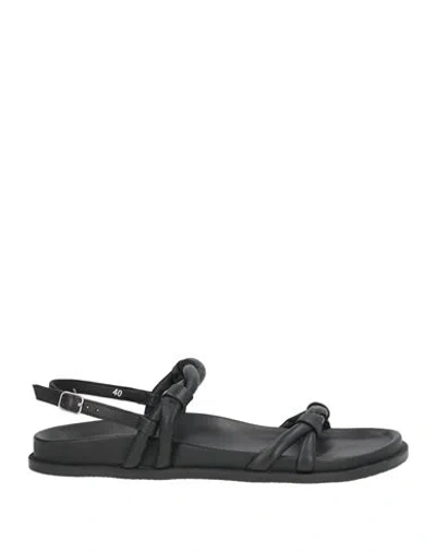 Elena Iachi Woman Sandals Black Size 7 Leather