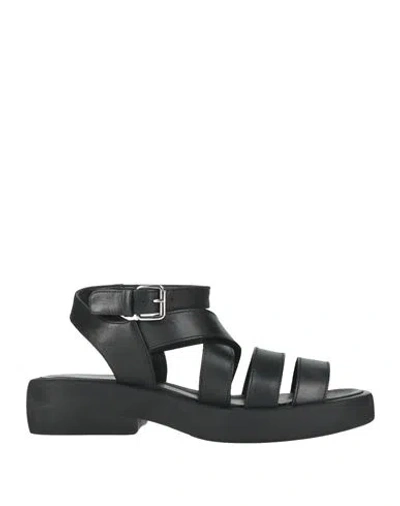 Elena Iachi Woman Sandals Black Size 8 Leather