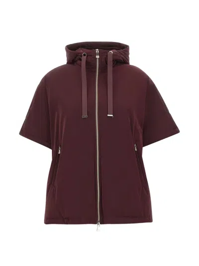 Elena Miro' Short-sleeve Hooded Jacket In Burgundy