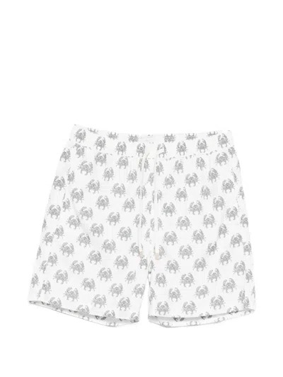 Eleventy Elastic Waist Swim Trunks In Multi