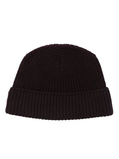 Eleventy Fisherman's Beanie In Purple