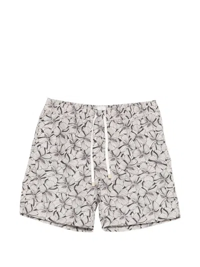 Eleventy Floral Swim Shorts In Neutral
