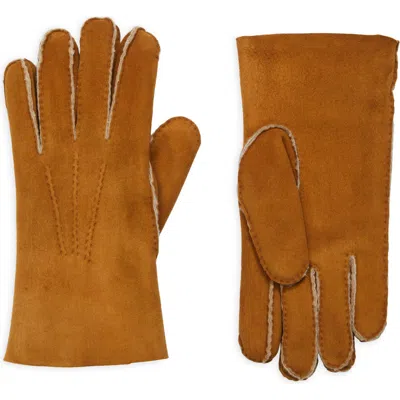 Eleventy Genuine Shearling Gloves In Camel