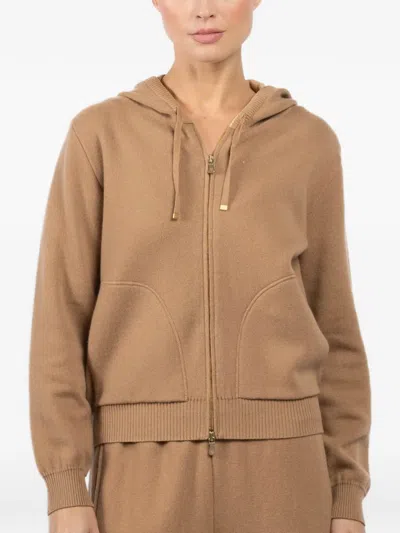 Eleventy Hooded Zip Sweater In Brown