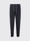 Eleventy Pleated Drawstring Tapered Trousers In Blue