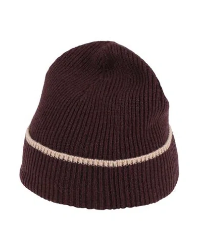 Eleventy Platinum Man Hat Charcoal Size Onesize Cashmere In Brown