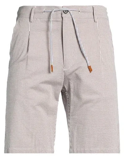 Eleventy Platinum Man Shorts & Bermuda Shorts Grey Size 33 Cotton, Polyester In Gray