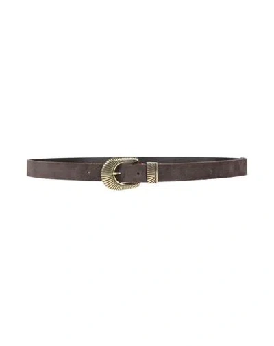 Eleventy Platinun Man Belt Dark Brown Size 39.5 Leather