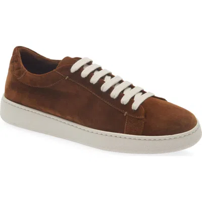 Eleventy Suede Low Top Sneaker In Brown