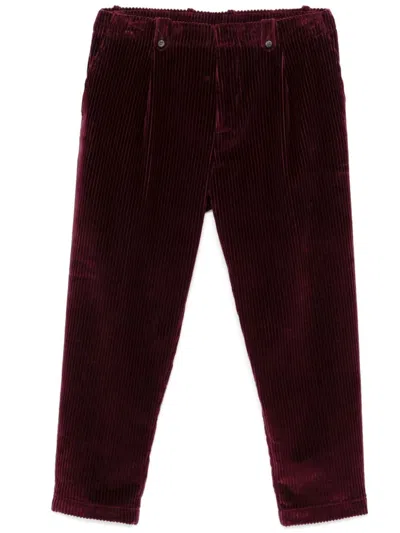 Eleventy Tapered Trousers In Burgundy