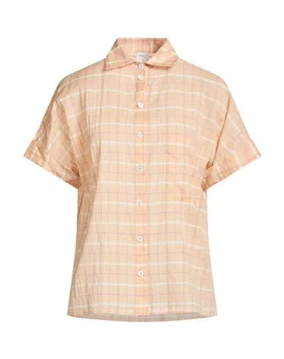 Eleventy Woman Shirt Apricot Size 2 Cotton In Orange
