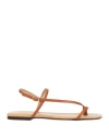 Eleventy Woman Thong Sandal Brown Size 9 Leather In Brown