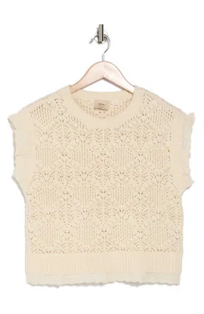 Elie Elie Tahari Lace Trim Cap Sleeve Sweater In Ivory/ivory