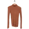 Elie Elie Tahari Semisheer Turtleneck Sweater In Brown