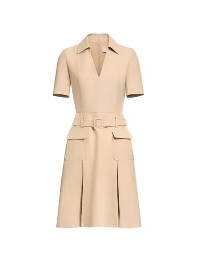 Elie Saab Belted Pleated Day Dress In Brown