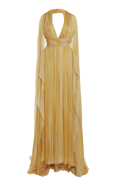 Elie Saab Capelet Printed Silk Gown In Gold