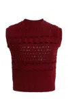 Elie Saab Crochet Cropped Top In Burgundy