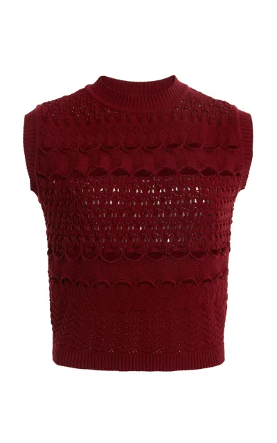 Elie Saab Crochet Cropped Top In Burgundy