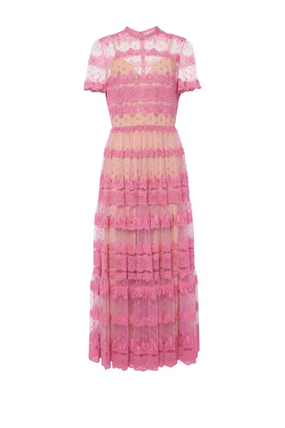 Elie Saab Embroidered Lace Midi Dress In Pink