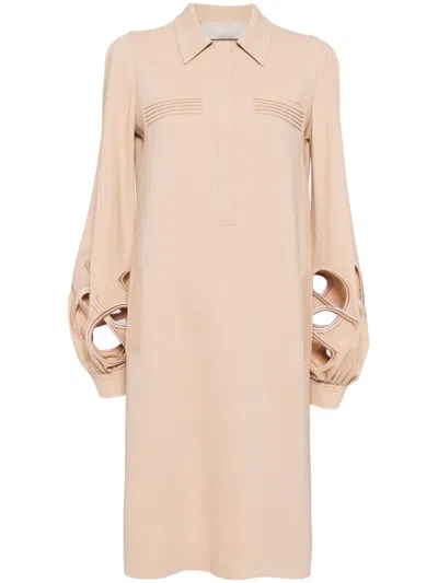 Elie Saab Embroidered Cut-out Dress In Neutrals