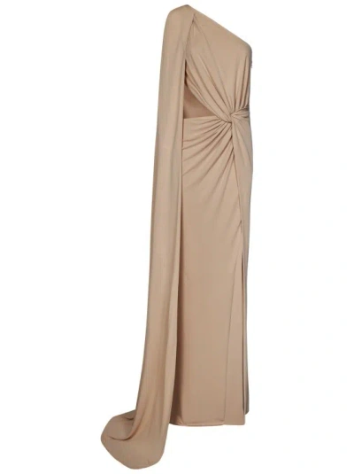 Elie Saab Long One-shoulder Dress In Brown