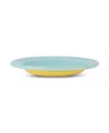 Elifle Enamel Dinner Bowl, Set Of 4