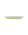 Elifle Two Tone Enamel Dinner Plate