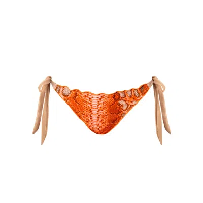 Deessa Ibiza Women's Yellow / Orange / Rose Gold Ibiza Animal Snake Print Triangle Bikini Bottoms Sara Cala Bonit In Yellow/orange/rose Gold