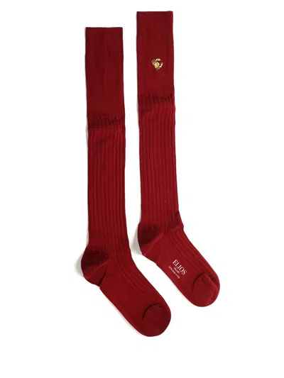 Elios Cancer Socks Underwear Red
