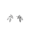 Eliot Danori Leaf Stud Earring, Created For Macy's In Rhodium Plated
