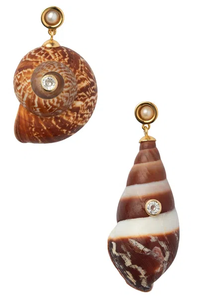 Eliou Caracol Earrings In Brown