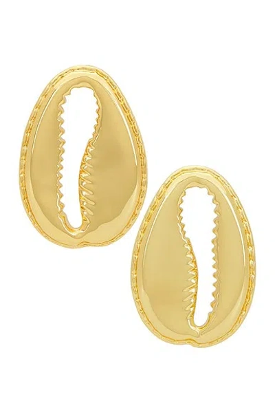 Eliou Concha Earrings In Gold Plated