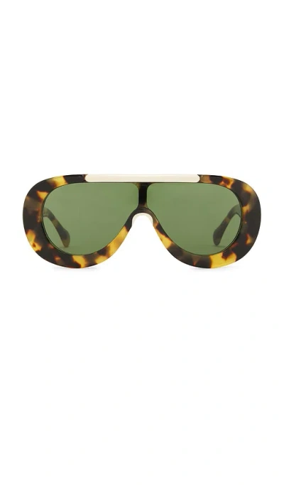 Eliou Navigator Sunglasses In Brown