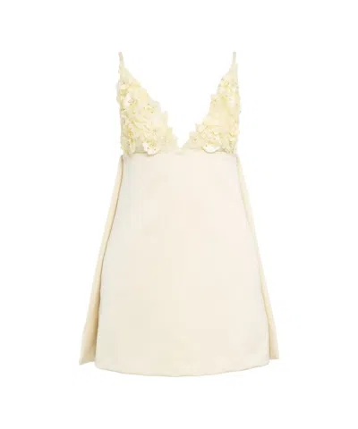 Elisabetta Franchi Floral-appliqué Dress In Beige