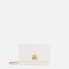 Elisabetta Franchi Groumette-chain Shoulder Bag In Brown