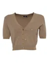 Elisabetta Franchi Brown Cropped Sweater In Brown