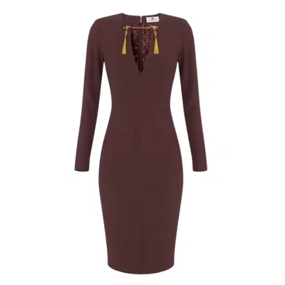 Elisabetta Franchi Fitted Long Sleeve Dress With Tassel Detail In Brown