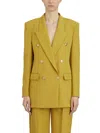 Elisabetta Franchi Double-breasted Blazer