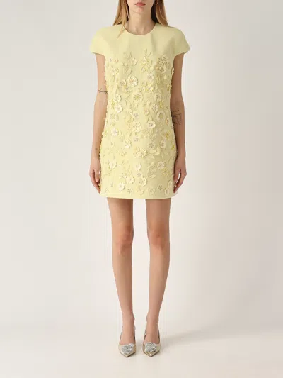 Elisabetta Franchi Cotone Dress In Yellow