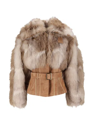 Elisabetta Franchi Cropped Textured Fur-like Suede Belt Jacket In Brown