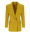 Elisabetta Franchi Double-breasted Blazer