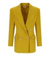 Elisabetta Franchi Double-breasted Blazer In Yellow