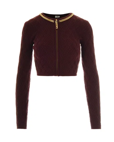 Elisabetta Franchi Cardigan In Maglia A Rombi Con Dettaglio Gioiello Bordeaux In Brown