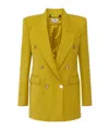 Elisabetta Franchi Double-breasted Blazer In Brown