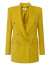 Elisabetta Franchi Jacket In Yellow