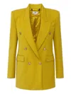 Elisabetta Franchi Double Breasted Jacket In Green