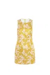 Elisabetta Franchi Dress In Giallo
